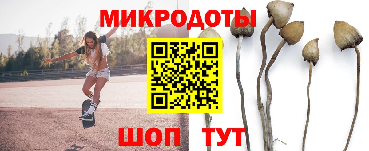 закладки  Вход с VPN  Клинцы  Галлюциногенные грибы ЛСД  Псилоцибиновые грибы MAGIC MUSHROOMS 